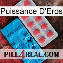 Eros Power new14